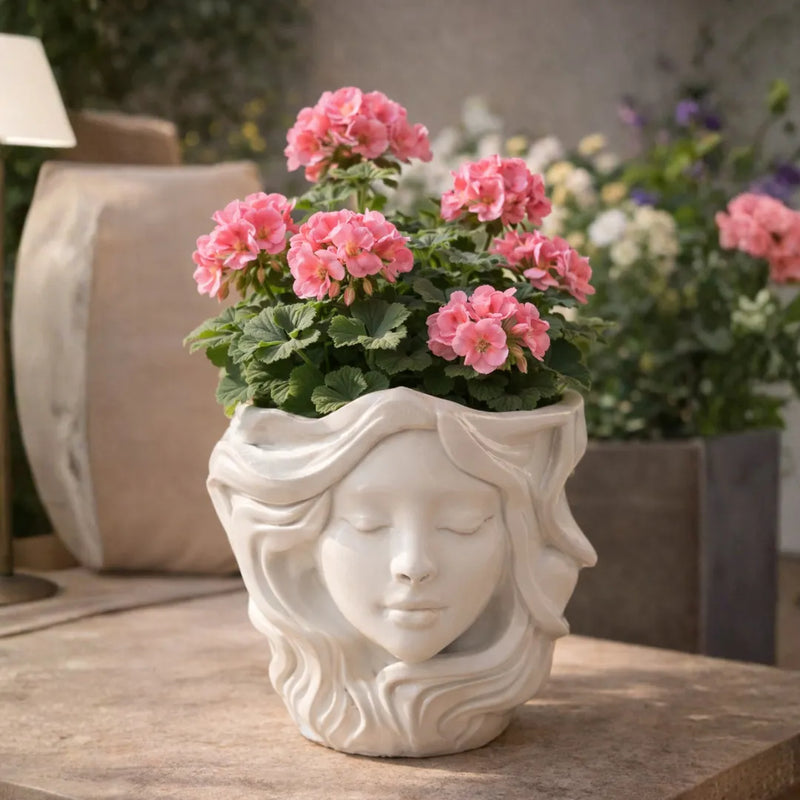 Decorative Gifts